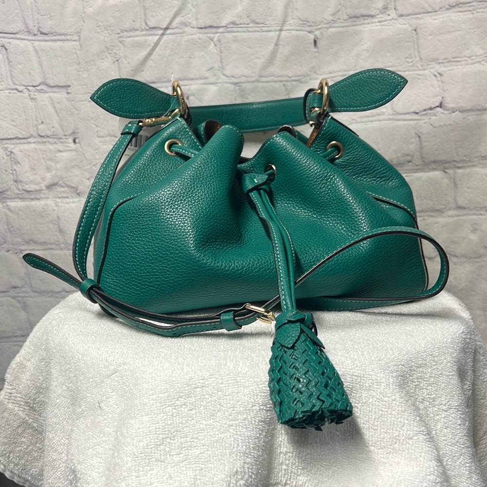 Coach Everly bag